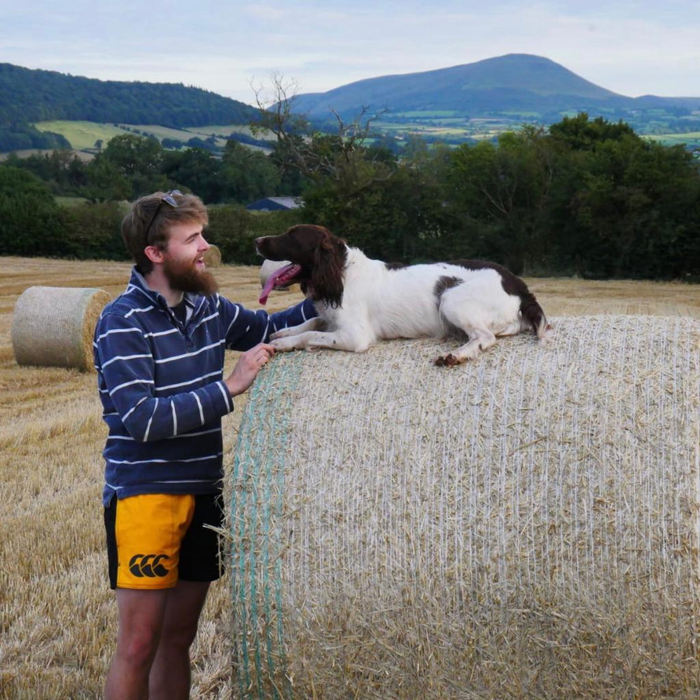 
                  
                    Man wearing gold and black Canterbury harlequin shorts and playing with dog
                  
                