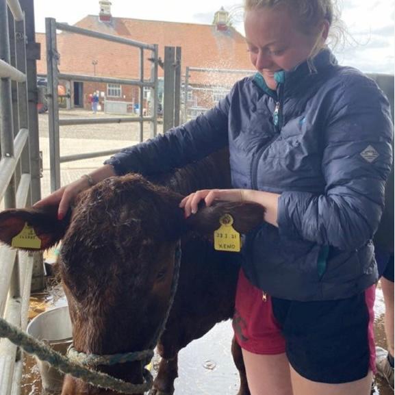 
                  
                    Cow farmer wearing pink and navy Canterbury shorts
                  
                