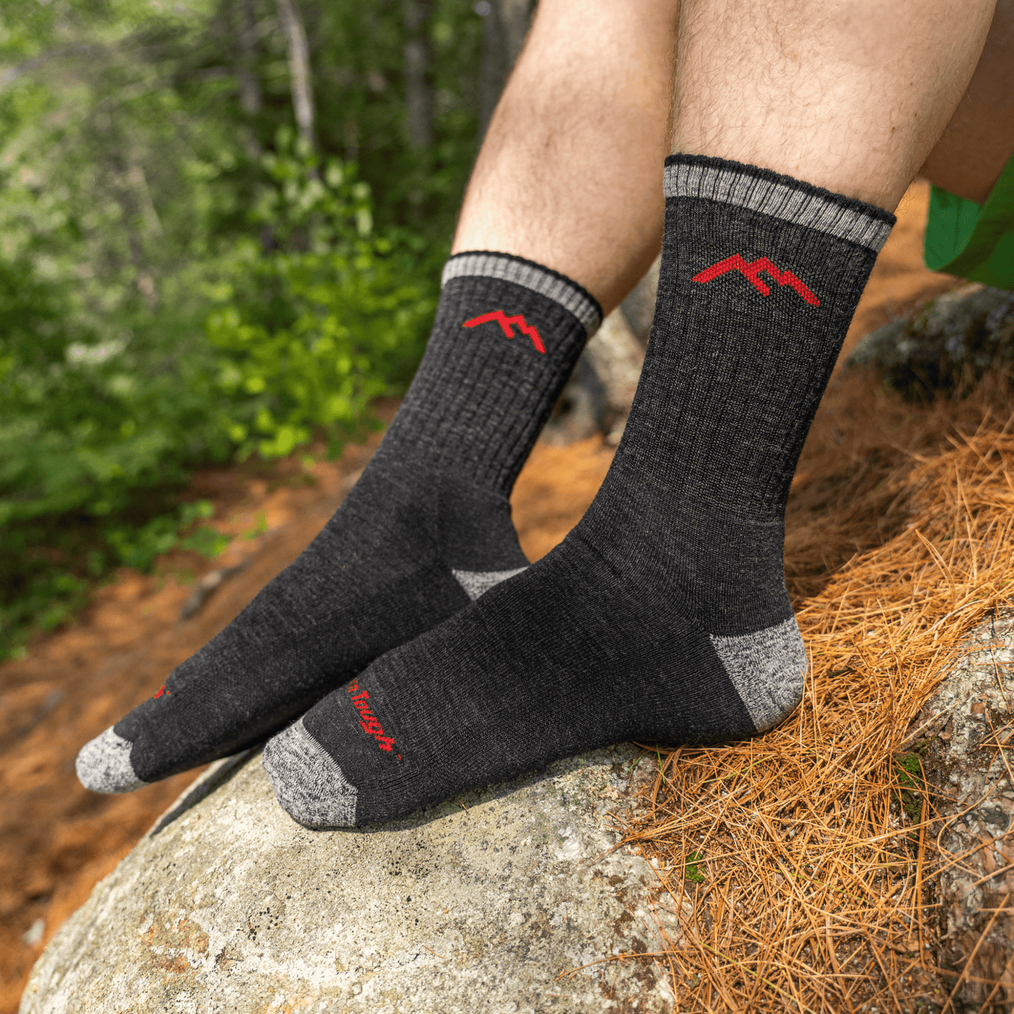 Darn Tough Men's Hiker Micro Crew Midweight with Cushion Socks - Black