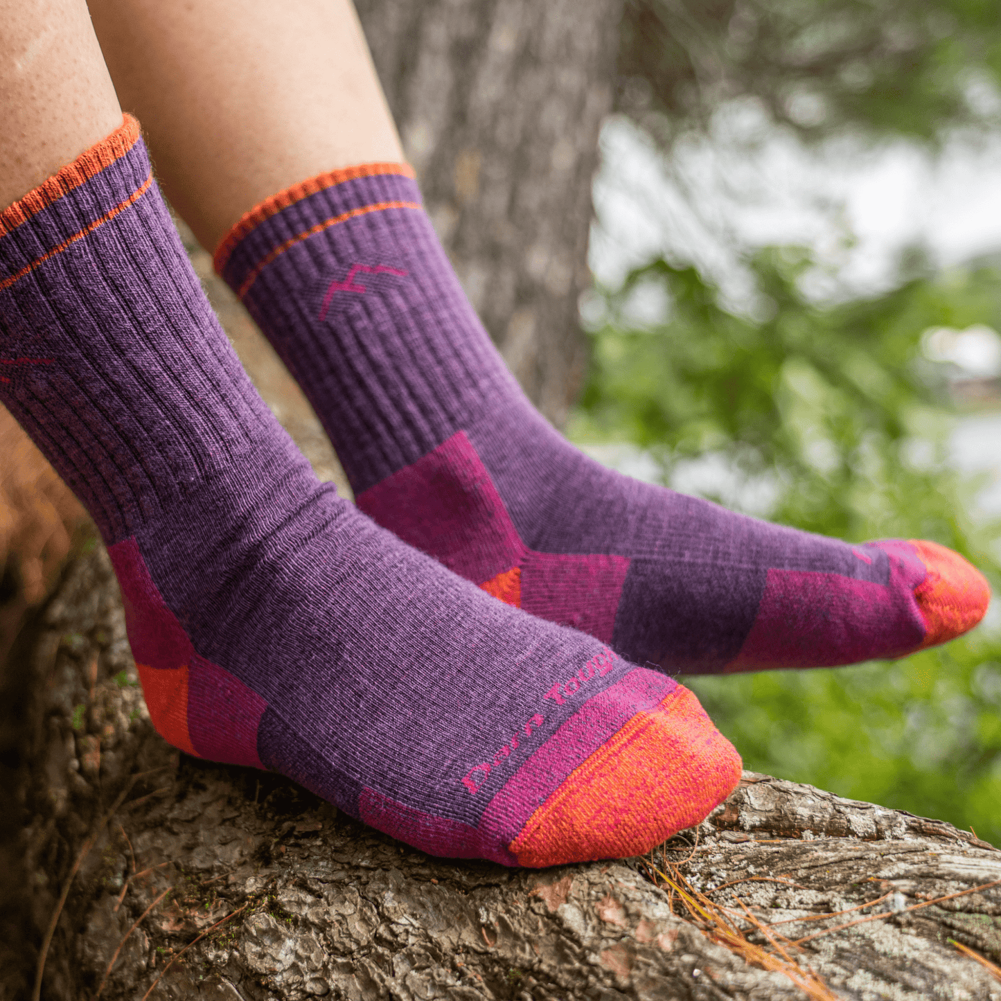 Darn Tough Women's Hiker Micro Crew Midweight with Cushion Socks - Plum Heather