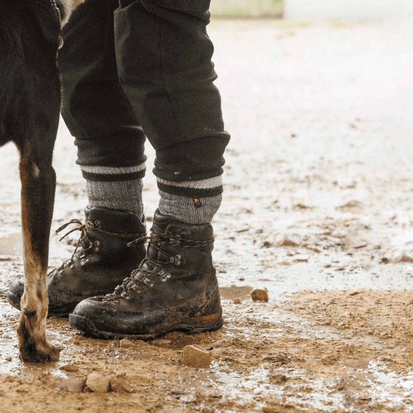 Swazi The Farm Sock